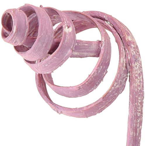 Artikel Cane Coil Cane Cone Cane Sortiment Berry 30cm 75 St