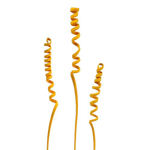 Floristik24 Cane Spring mini Goldgelb 25 St