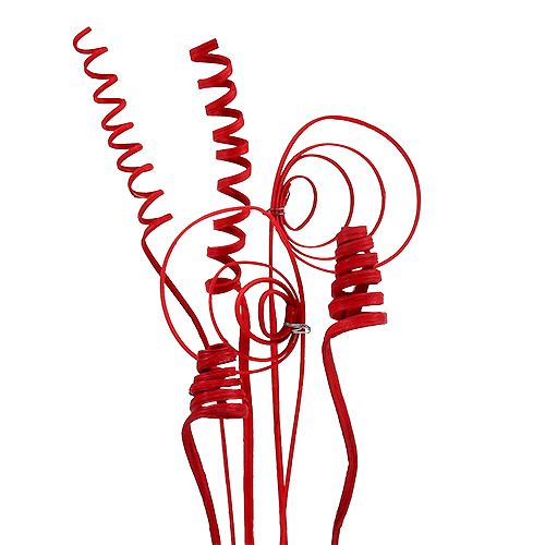 Floristik24 Cane Sortiment mini rot 75 St