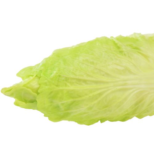 Floristik24 Chicoree künstlich Lebensmittelattrappe Real Touch 17cm