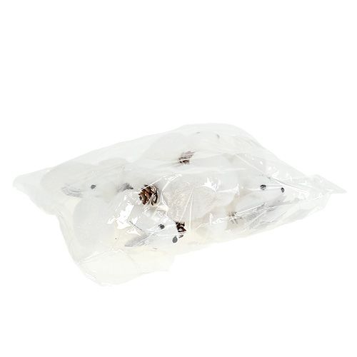 Floristik24 Christbaumschmuck Eichhörnchen weiß 7cm 6St