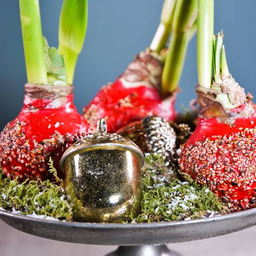 Floristik24 Christbaumschmuck Eichel zum Hängen Metall Glas Gold 11cm 4St