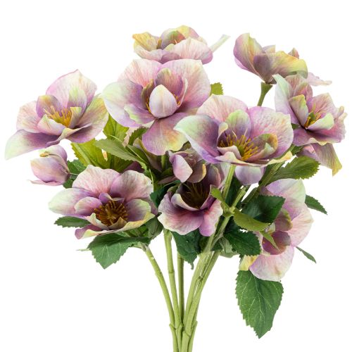 Künstliche Christrose Bund violett 35 cm 6 Stiele für Innenbereich online kaufen | Floristik24.ch