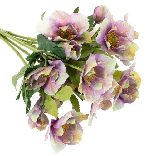 Künstliche Christrose Bund violett 35 cm 6 Stiele für Innenbereich | Floristik24.ch