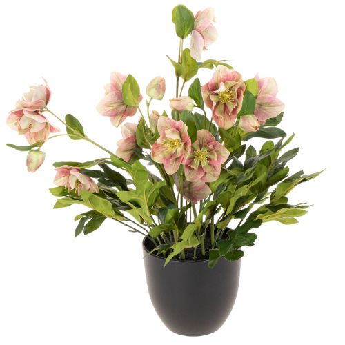 Helleborus künstliche Topfpflanze Christrose 50 cm Rosa-Grün
