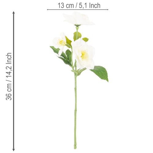 Kunstblume Christrose weiss Bund 36 cm Kunststoff für Weihnachten | Floristik24.ch