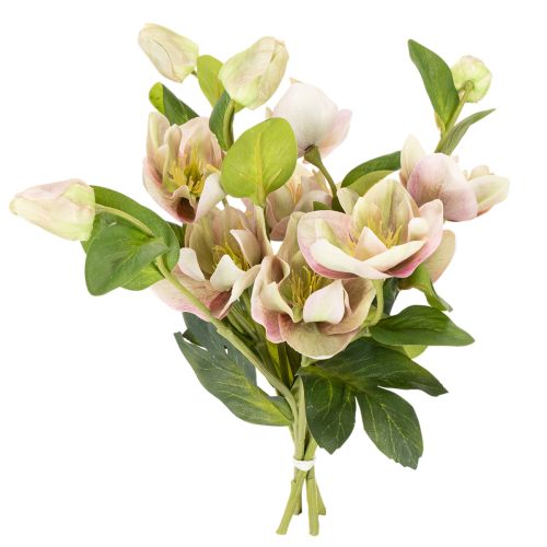 Christrose künstlich 30 cm Bund mit 4 Stielen in Rosa-Grün