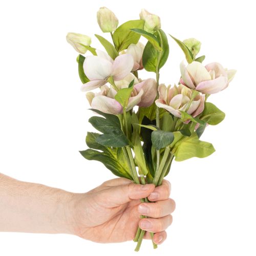 Christrose künstlich 30 cm Bund mit 4 Stielen in Rosa-Grün | Floristik24.ch