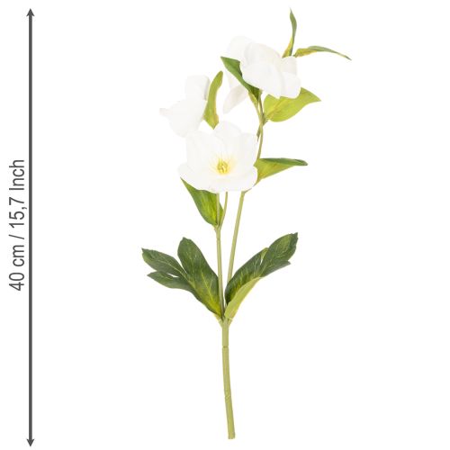 Christrose Kunstblume weiss, Dekobund 40 cm, 4 Stiele mit Blüten | Floristik24.ch