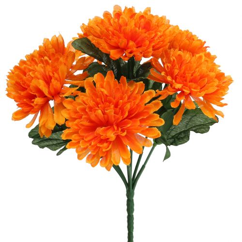 Floristik24 Chrysantheme Orange mit 7 Blüten