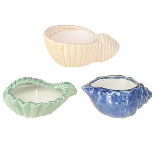 Floristik24 Citronella Kerze Muschel Keramik Outdoor Kerze 14cm 3St