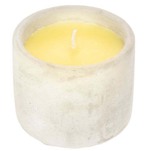 Citronella-Kerze im Zementtopf, 8 cm, Gelb | Floristik24.ch