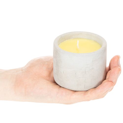 Citronella-Kerze im Zementtopf, 8 cm, Gelb | Floristik24.ch
