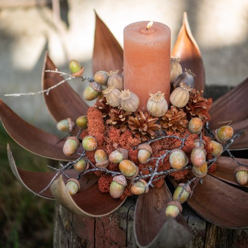 Cocosschalen Natur 60cm 5 St | Floristik24.ch