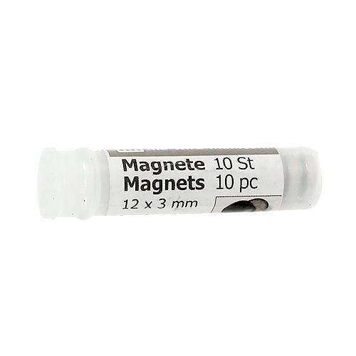 Artikel Corsagemagnet 12 x 3 mm 10St