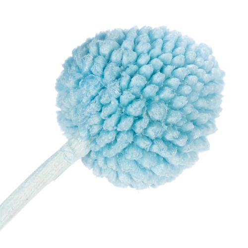 Artikel Craspedia Trockenblumen Deko für Vase minimalistischer Stil Haltbare Sommerdeko 55cm 20St