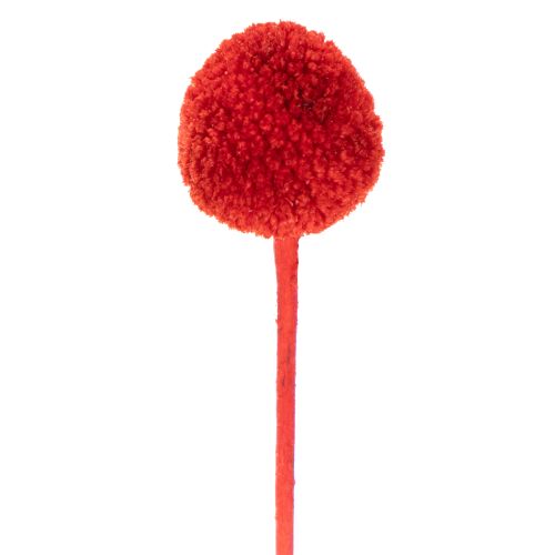 Getrocknete Craspedia in Rot, 55 cm, 20 Stiele | Floristik24.ch