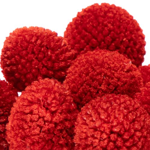 Getrocknete Craspedia in Rot, 55 cm, 20 Stiele | Floristik24.ch