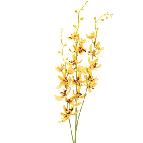 Künstliche Cymbidium Orchidee als Blütenstiel für elegante Dekoration 95cm 2St