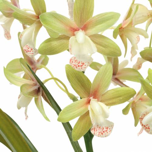 Floristik24 Orchidee Cymbidium Grün im Topf Künstlich H46cm