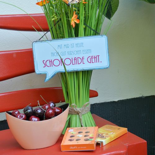 Artikel Schild mit lustigem Spruch für Tür oder Wanddeko aus Metall