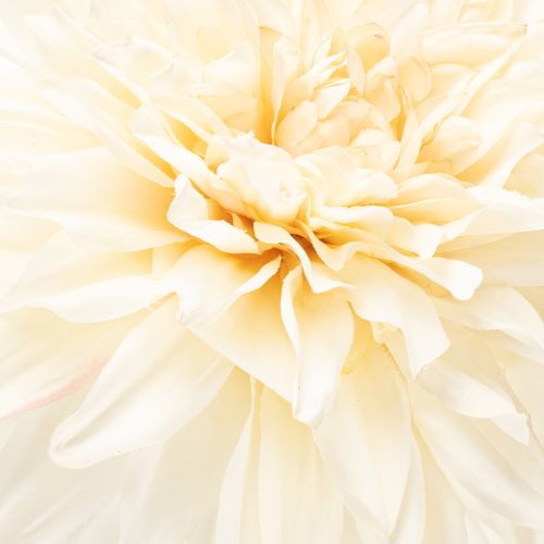 Künstliche Blume Dahlie aus Seidenstoff 68 cm cremeweiss | Floristik24.ch