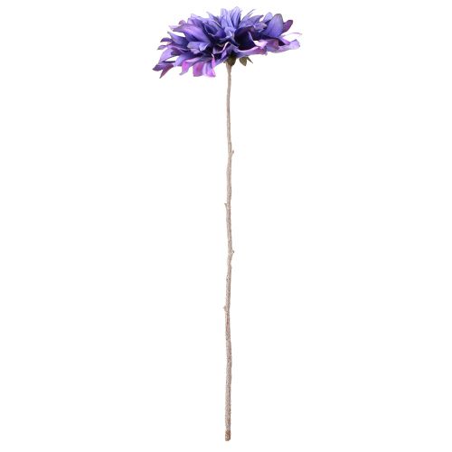 Floristik24 Dahlie Künstlich mit großer Blüte in Violett L58cm