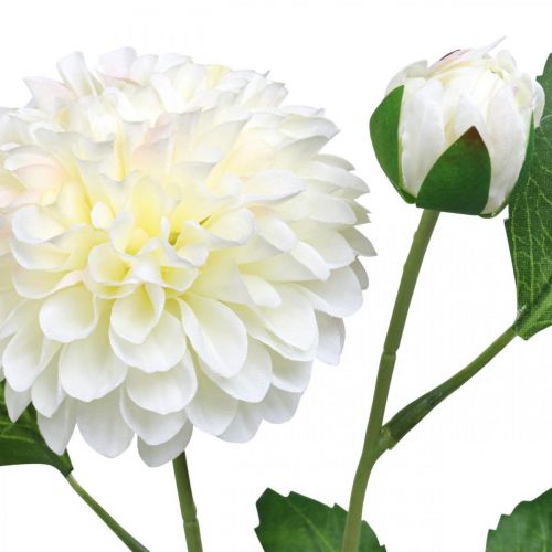Artikel Dahlie Künstlich Kunstblumen Creme Grün 2 Blüten 60cm