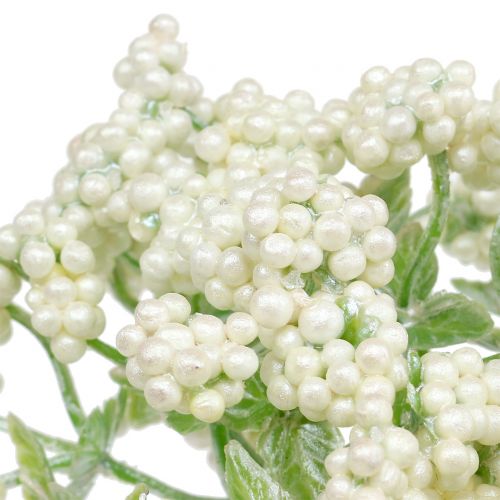 Floristik24 Deko Beerenzweig Weiß 24cm 5St