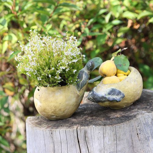 Deko Birne Übertopf Herbst Pflanztopf Beton 25×13×11cm