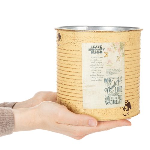 Deko-Pflanztopf aus Metall, Ø15,5cm, H15cm, Apricot mit Vintage-Motiv | Floristik24.ch