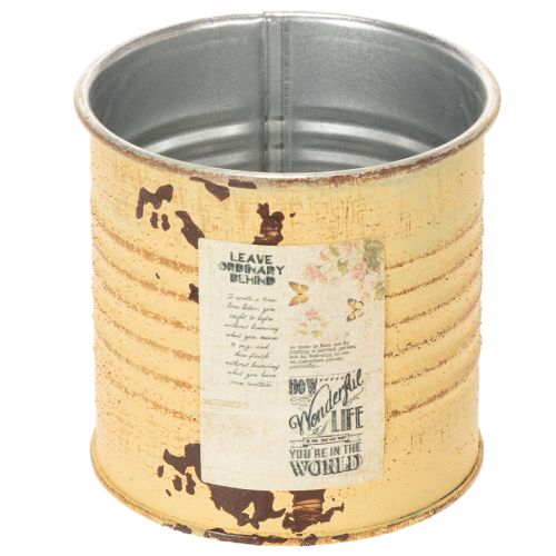 Deko Metalldose Apricot Ø8cm Höhe 7,5cm Pflanztopf Innenbereich online kaufen | Floristik24.ch