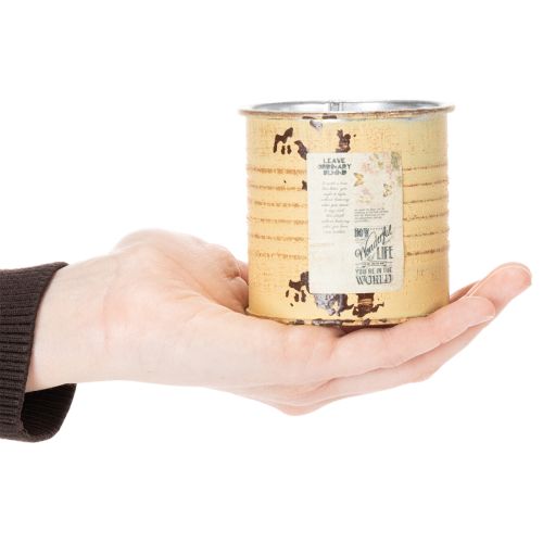 Deko Metalldose Apricot Ø8cm Höhe 7,5cm Pflanztopf Innenbereich | Floristik24.ch
