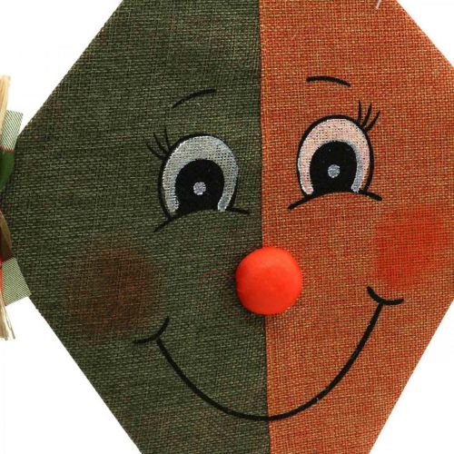 Floristik24 Deko Drachen zum Hängen bunt Sortiert 40cm 2St