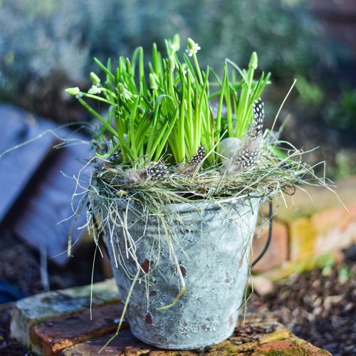 Floristik24 Deko-Eimer, Blumenkübel, Keramikeimer Antik-Optik Ø19,5cm H19cm