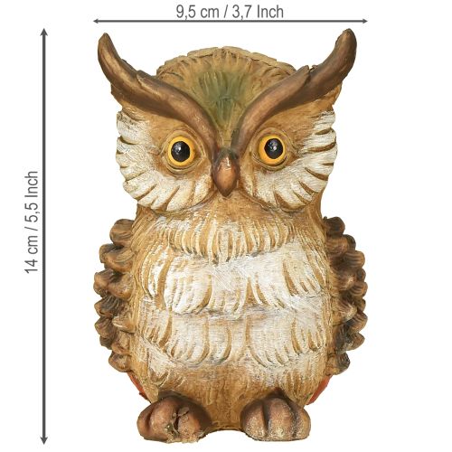Floristik24 Deko Eule Dekofigur Handbemalt Herbst Deko Polyresin H14cm