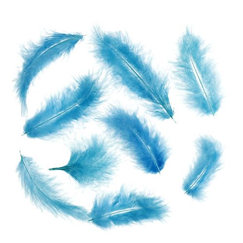 Floristik24 Federn kurz 30g Türkis
