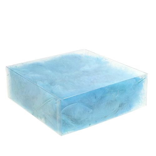 Floristik24 Federn kurz 30g Türkis