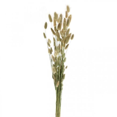 Artikel Lagurus getrocknet, Trockenblumen Lagurus, Lagurus Gras Natur L30–70cm 45g
