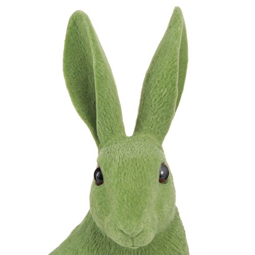 Floristik24 Deko Hase sitzend Figur Osterhase beflockt Grün 12×9×25cm