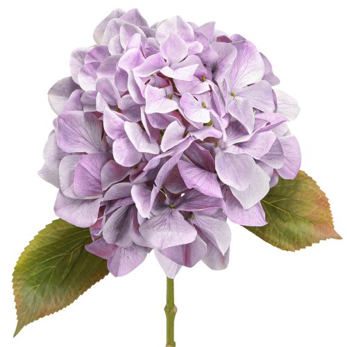 Floristik24 Deko Hortensien Kunstblumen Lila Blüte Ø18cm 69cm 2St
