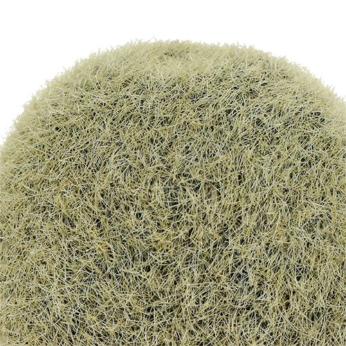 Floristik24 Deko-Kiwi 6cm 6St