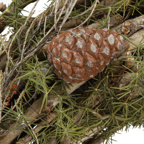 Artikel Natur Deko Kranz mit Zweigen und Zedernzapfen Holzkranz Türkranz Wanddeko Tischdeko Landhaus Boho Ø40cm