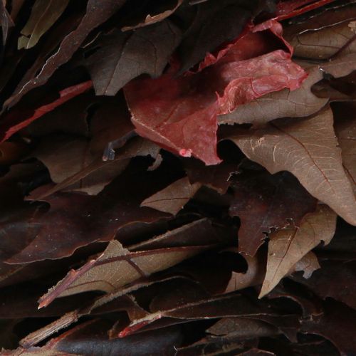 Floristik24 Deko Kranz zum Hängen Bergahorn Blätterkranz Natur Ø35cm