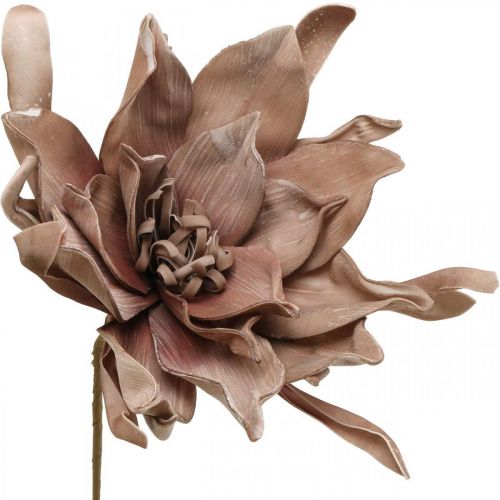 Artikel Deko Lotusblüte Künstlich Lotosblume Kunstblume Braun L68cm