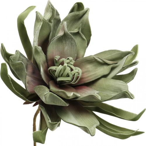Artikel Deko Lotusblüte Künstlich Lotosblume Kunstblume Grün L70cm
