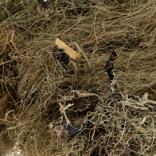 Floristik24 Deko Moos Natur zum Basteln 500g