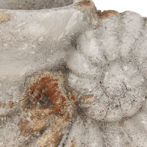 Floristik24 Deko Muschel Stein Optik Blumentopf 22,5x13,5x13,5cm