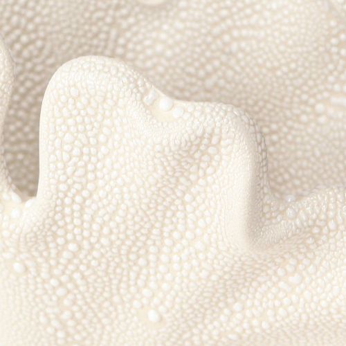 Floristik24 Deko Muschel Vase Mini Keramikvase Creme 14×7,5×9,5cm