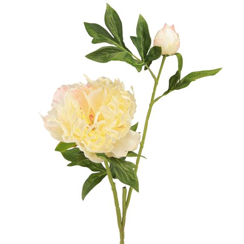 Floristik24 Deko Pfingstrosen Kunstblumen Gelbe Blüte L64cm 2St